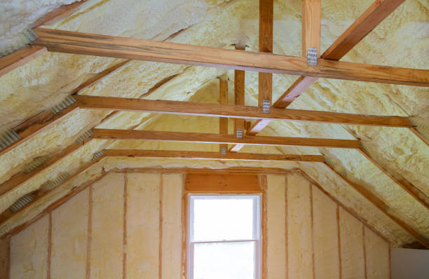 Best Insulation Removal  in Calvert City, KY
